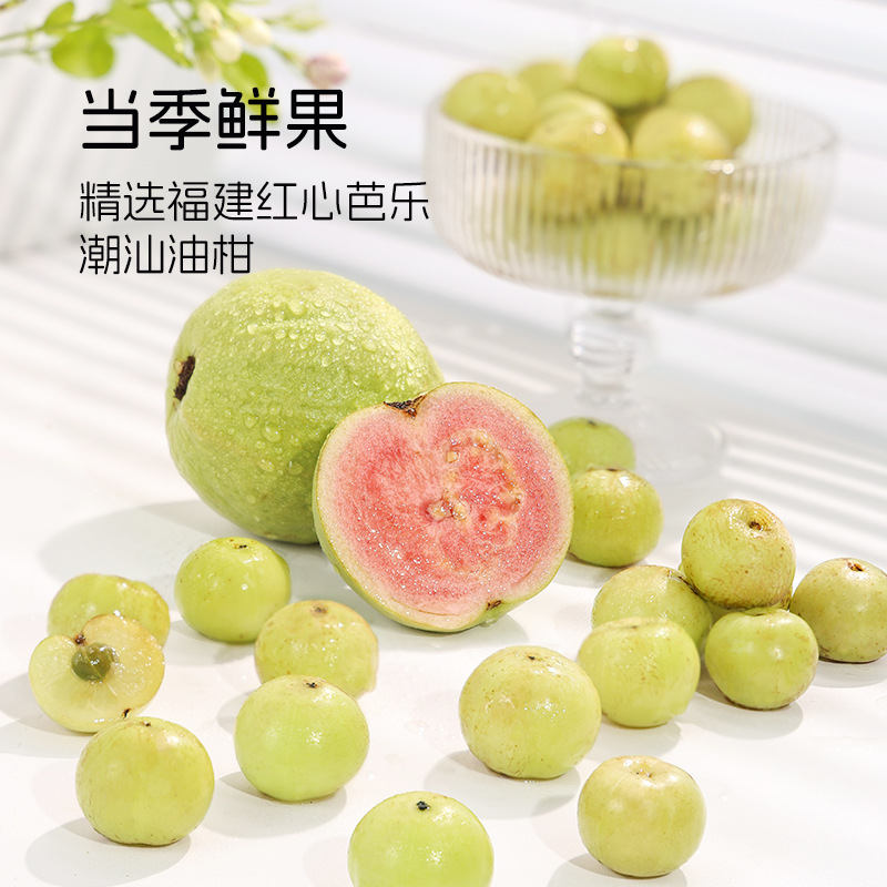 A Pen of Guava and Pomelo Juice Refreshing Tea-Flavored Beverage 245ml