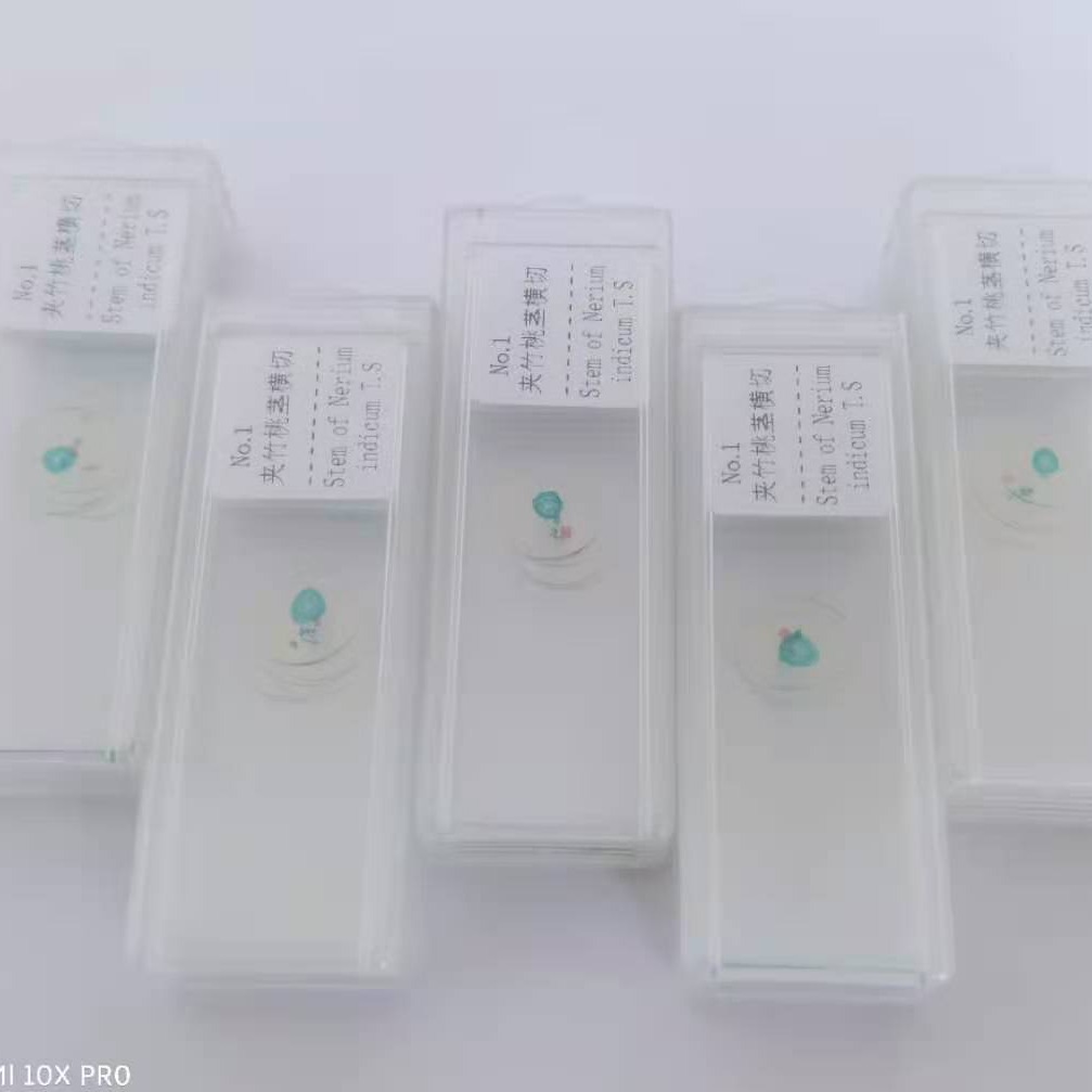 Teaching Microscope Slide Specimen Biological Slice 100 Slice Set Animal and Plant Slide Specimen Slice