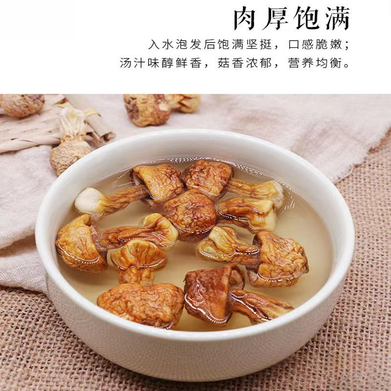 Dried Matsutake Mushrooms 500g Yunnan Sulfur-Free Edible Wild Mushrooms Brazilian Mushrooms Free Shipping Specialty Soup