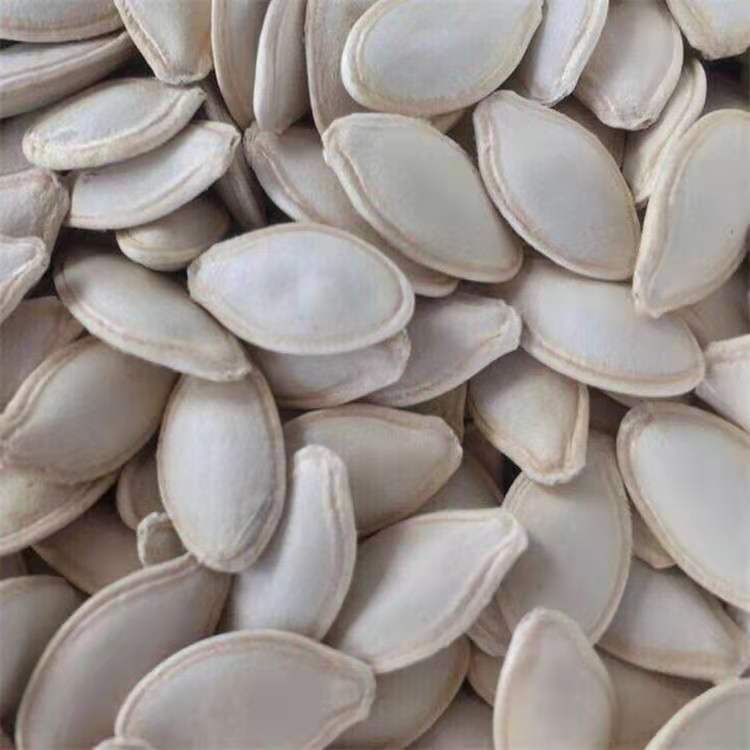 Manufacturers wholesale a large number of pumpkin seeds original flavor pepper and salt bulk pumpkin seeds baking Nuts Raw materials 500g per generation