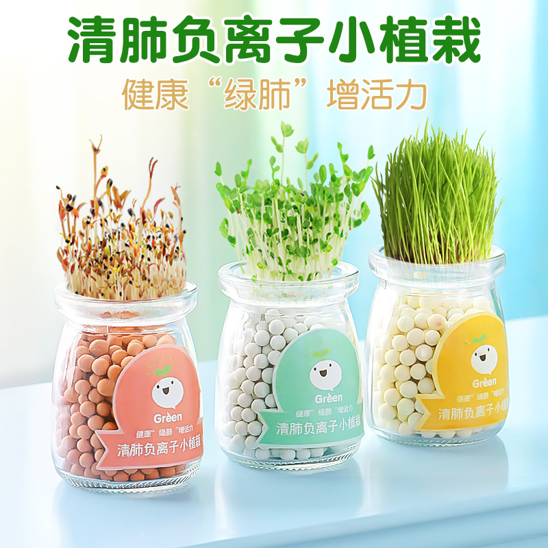 Hydroponic Potted Plants DIY Creative Negative Ion Green Plants Office Desktop Small Bonsai Radiation-Proof Mini Small Plants