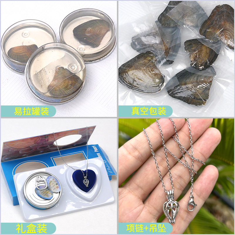Подарочный набор Pace Pearl Clam Blind Box: одна ракушка и подвеска, упаковка в вакууме