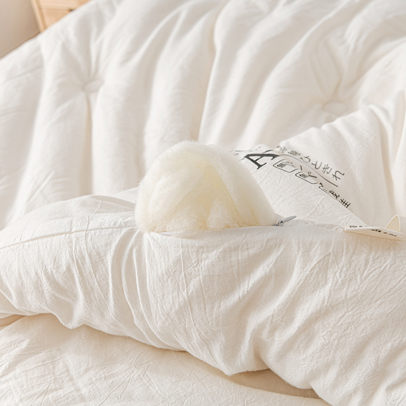 Class a Raw Cotton Soy Fiber Quilt Spring & Fall Dormitory Single and Double Quilt Event Gift Quilt Warm and Thickeneded Winter Quilt