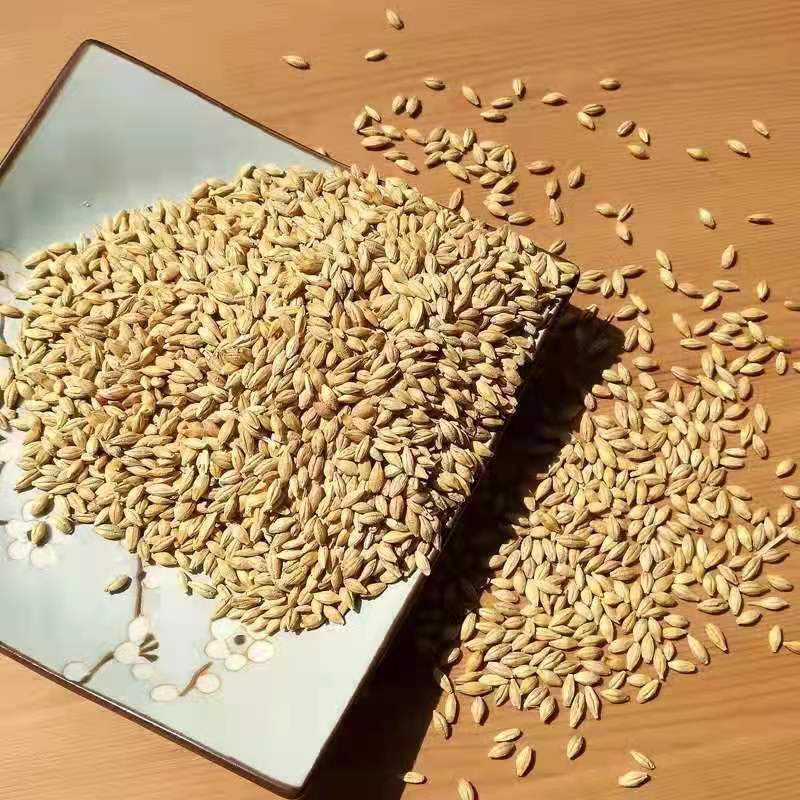 Seasonal New Arrivals, Shelled Barley That Can Germinate, Brewing Feed, Cat Grass, Wholesale Agricultural Grains, Dropshipping