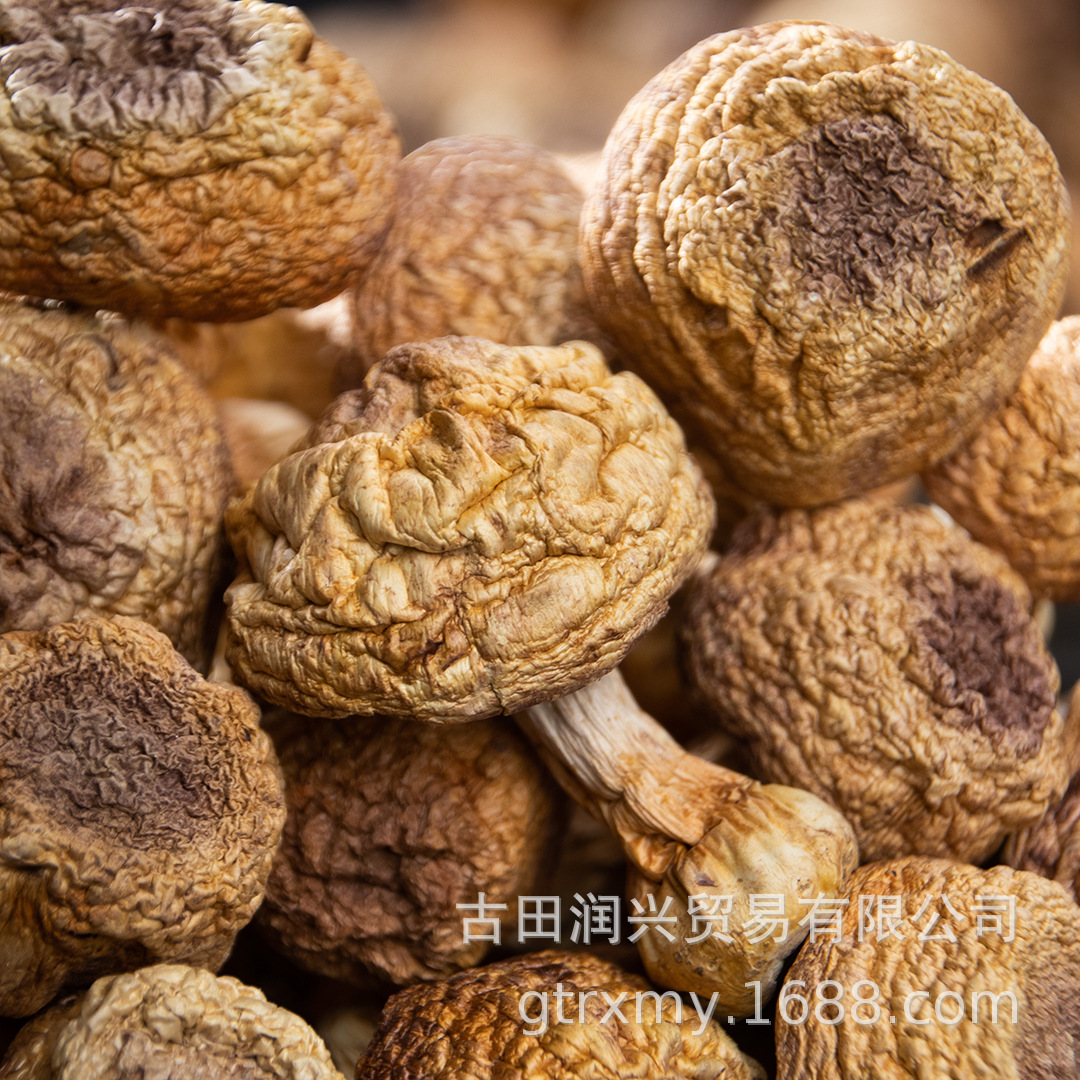 Сушеные грибы агарикус блазеи новые товары юньнань 500г бразильские грибы