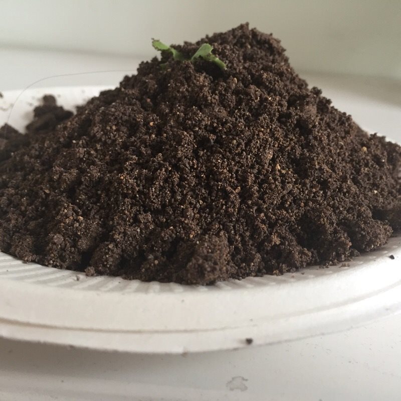 Pet Snail Feeding Soil Calcium Soil Coconut Soil Reptile Feeding Sand Student Science Class Snail Soil Feed Snail Li Zhi