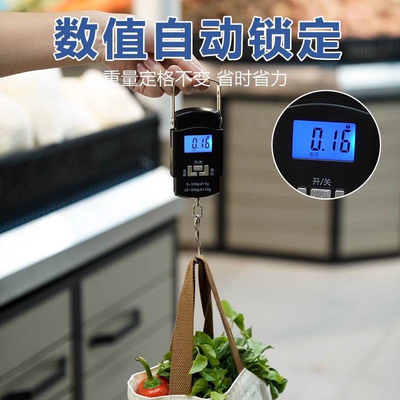 Portable Electronic Scale High Precision Precision Electronic Scale Portable Scale Spring Scale Household Portable Small Weigher Hook