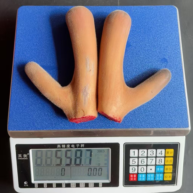 Fresh Deer Antler, Jilin Deer Antler Segment, Whole Deer Antler for Soup and Wine, Deer Antler Segment Slices, Wholesale Fresh Deer Antler from the Place of Origin