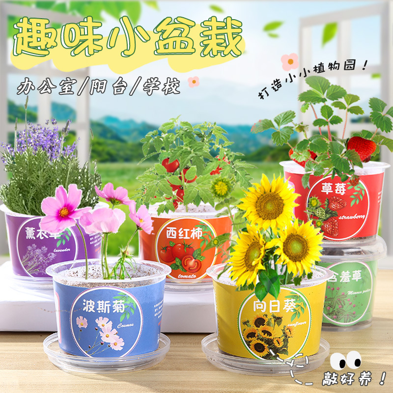 Творческие детские фруктовые и овощные маленькие горшечные растения, мини-горшечные растения для студентов, горшок для растений для эксперимента по науке в детском саду
