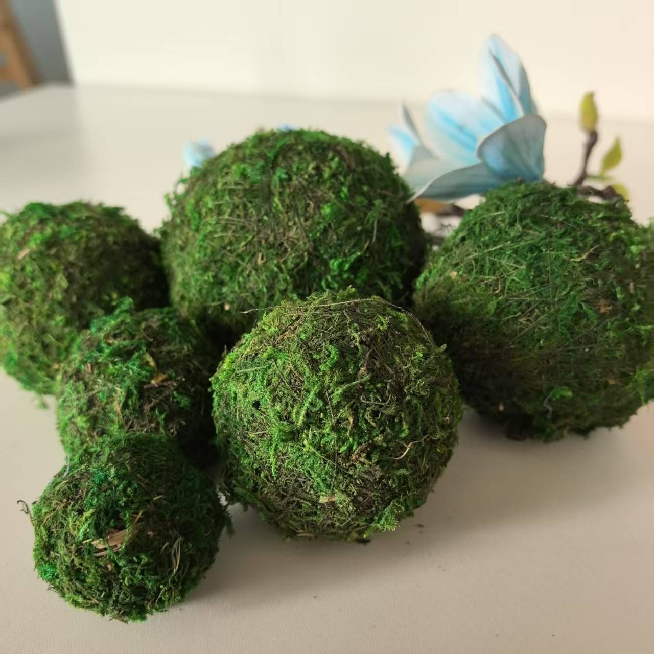 Supply moss ball exported to Japan and Europe gardening Moss flowerpot potted grass ball dried flower ball dried flower