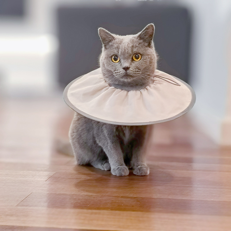 Pet Elizabeth ring sterilization care collar cat dog beauty collar anti-licking bite small dog headgear