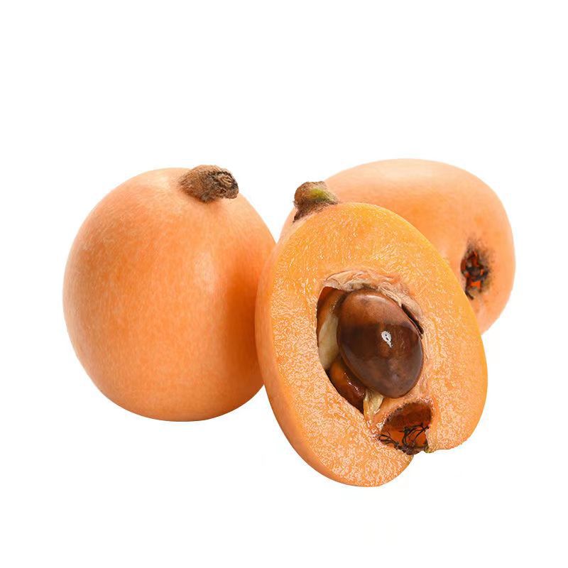 Sichuan Loquat Seasonal Fruit Pipa Sf Free Shipping Fresh Fruit Direct from the Place of Origin Miyi Loquat Dropshipping