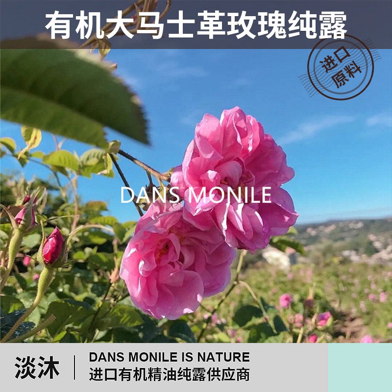 Болгарская дамасская розовая гидрозоль, тонер для ухода за кожей, увлажняющий, подтягивающий, оптовая продажа для салонов красоты