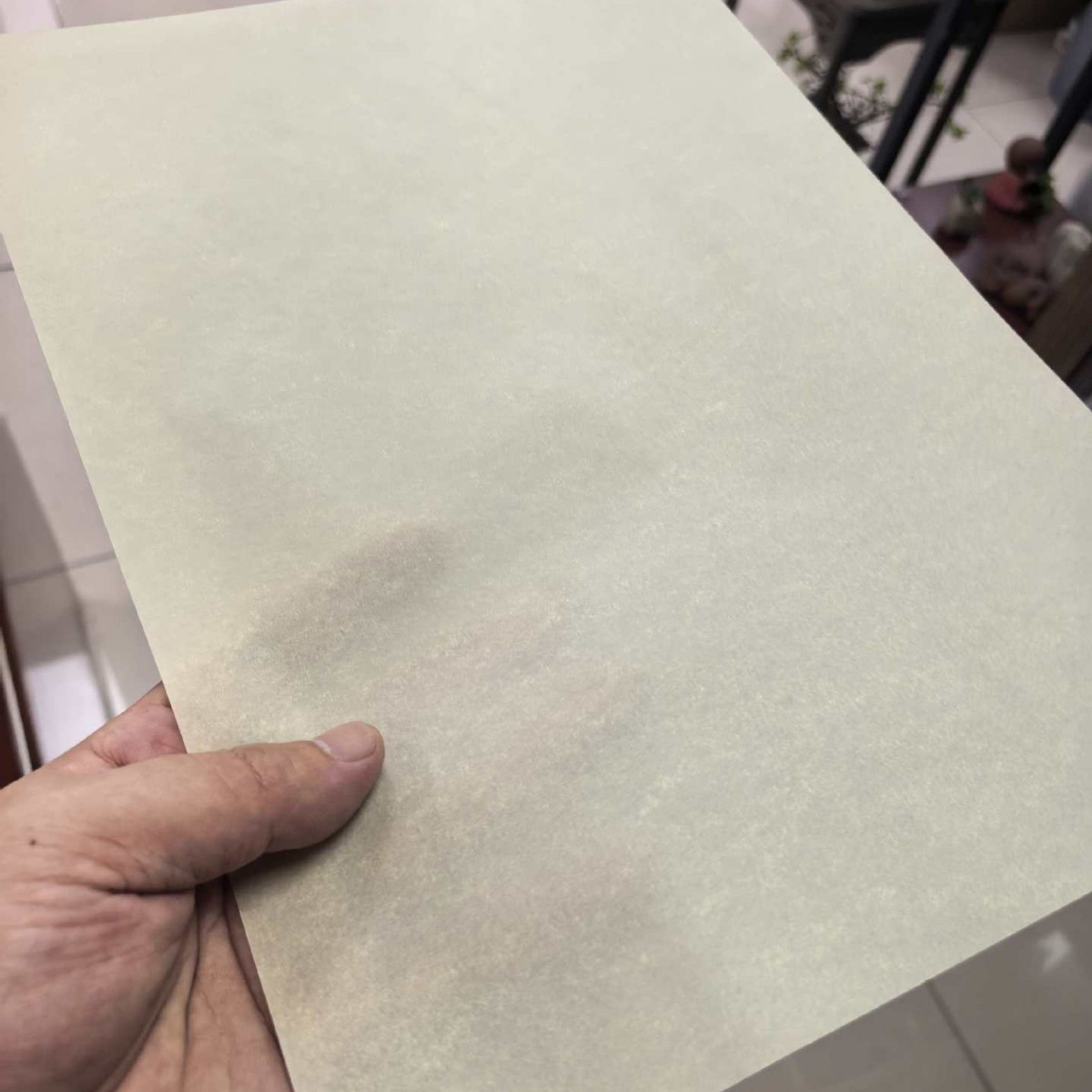 Plant Parchment Paper Is Used for Book Interlining and Title Pages, Which Can Also Be Used to Make Picture Albums, Product Catalogs, Etc