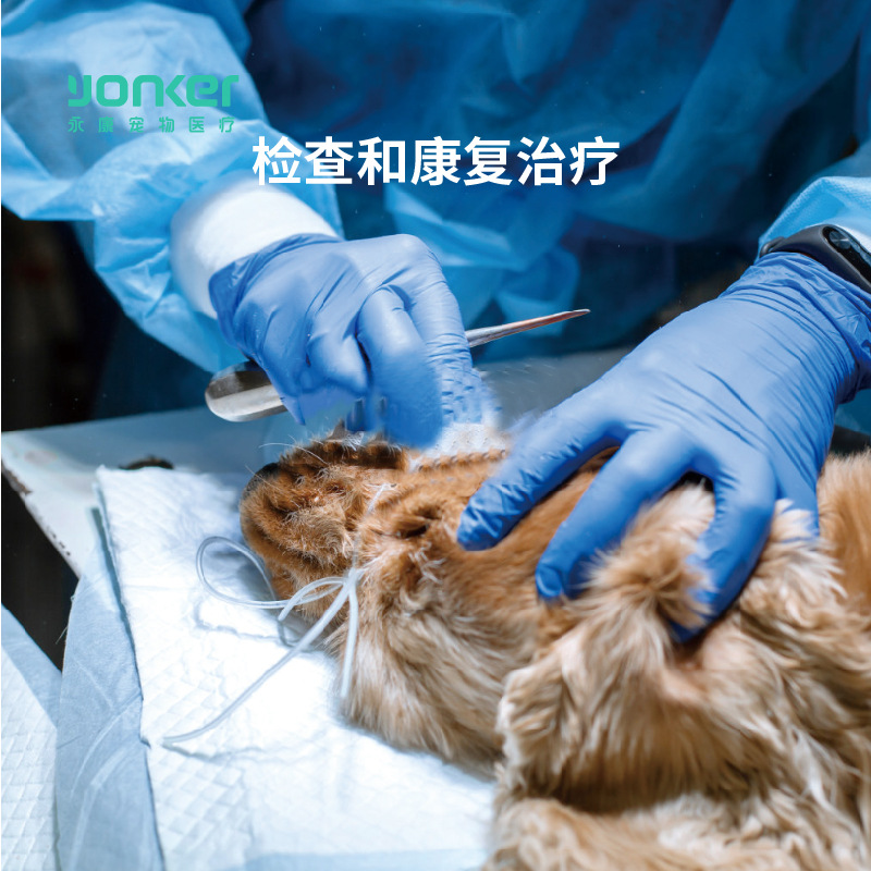 Cross-border export pet fixing pad VM1 pet hospital for cats and dogs waterproof easy-to-take-care surgery antibacterial quick-drying