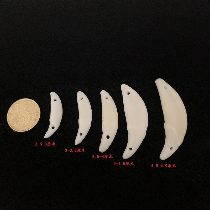 Real Dog Teeth Trendy Personality Wolf Tooth Shape Baby Pendant Accessory Unisex Couple Birthday Gift Black Dog Tooth