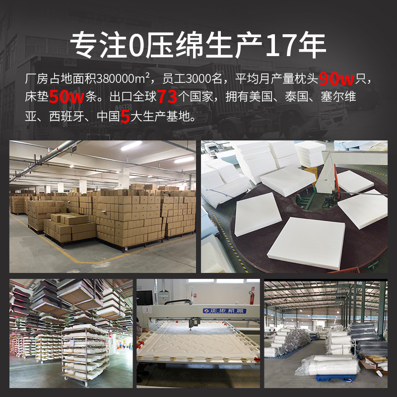 Zero Pressure Room Supply Thickeneded Memory Foam Spring Mattress Double Warm Mattress Slow Rebound Sponge Cushion