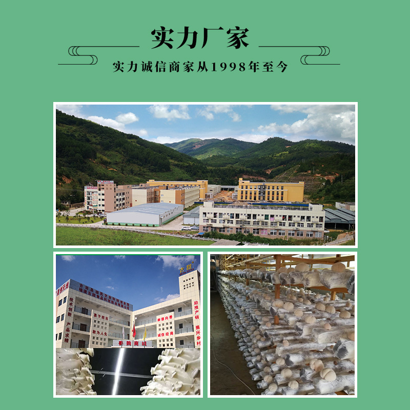 Ancient boiled straw mushroom 1kg catering ingredients straw mushroom half cut factory direct supply boiled mushroom wholesale