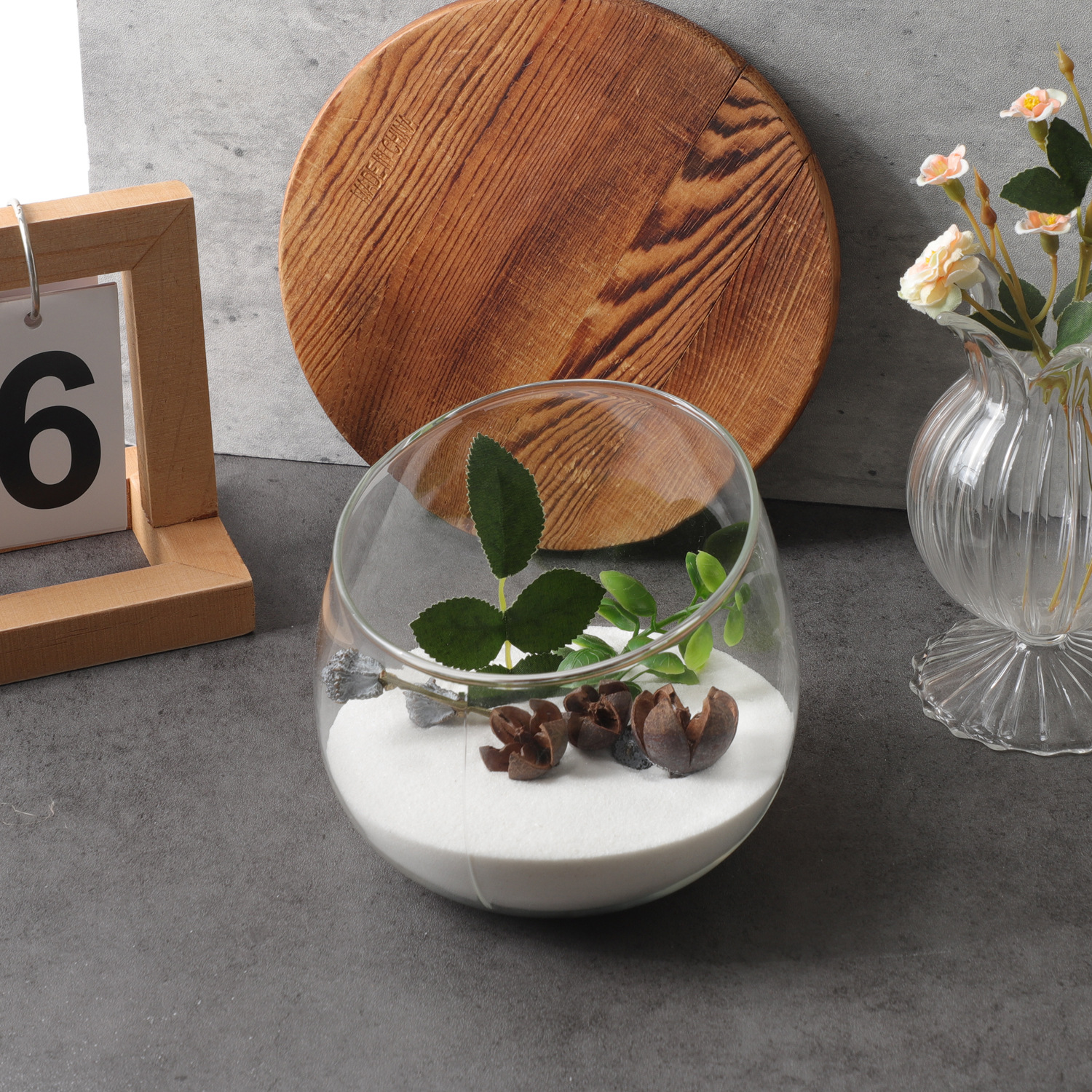 Creative Large-Diameter Transparent Glass Micro-Landscape Ecological Vase Container Office Living Room Flower Arrangement Vase Ornaments