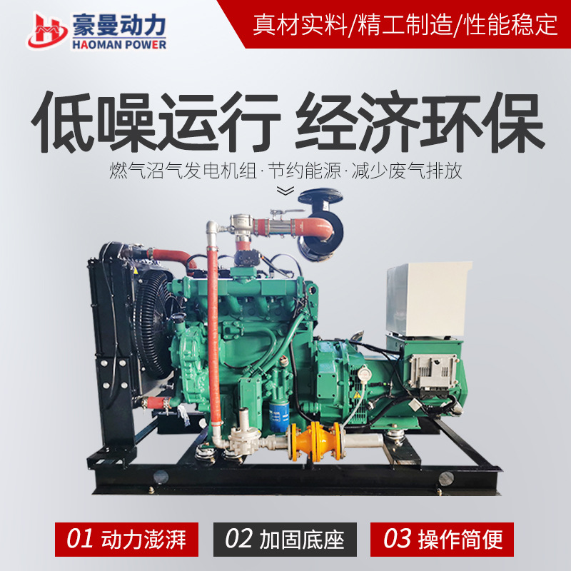 30Kw沼气 Generator 50Kw75Kva100Kw120Kw150Kw200 Kilowatt Sky Gas Generator Set