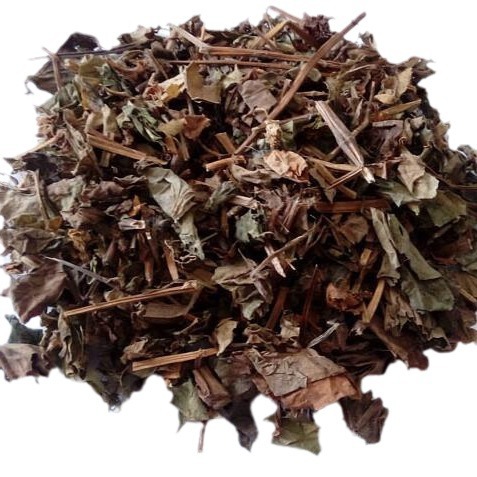 [Kangyuan] Wholesale Chinese Herbal Medicine Houttuynia Kilogram Price Natural High-Quality Houttuynia Medicinal Cultured Can Be