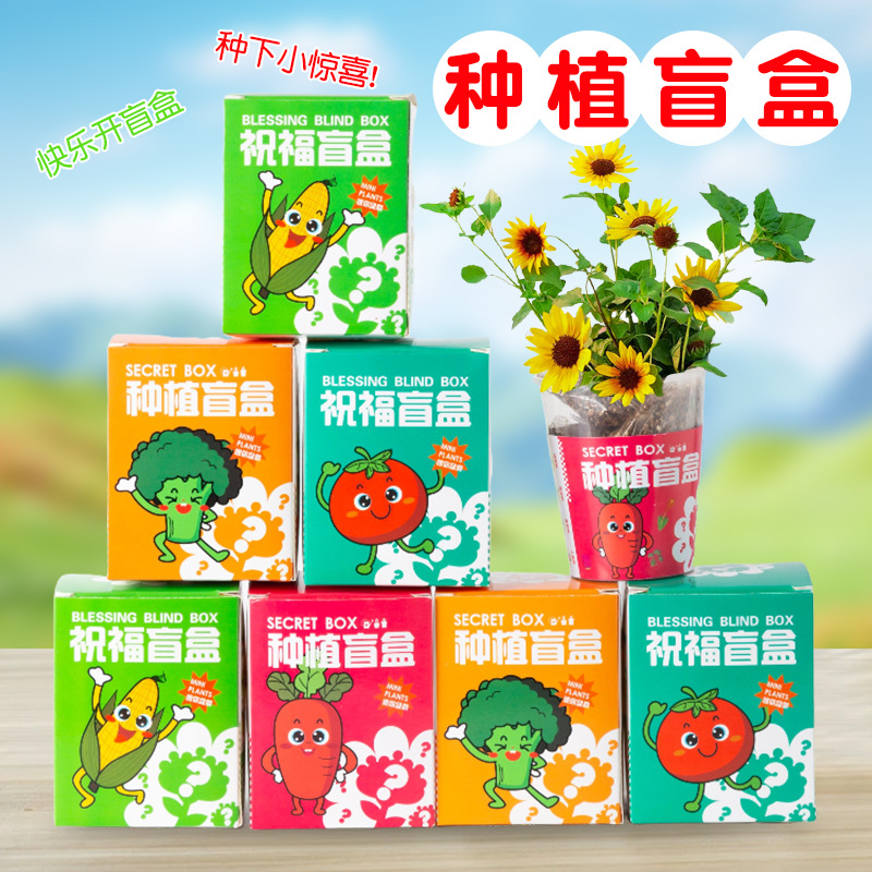 Слепая коробка для посадки, детские горшечные растения, маленькие горшечные растения для наблюдения в детском саду, мини-оптовая продажа семян для учеников начальной школы