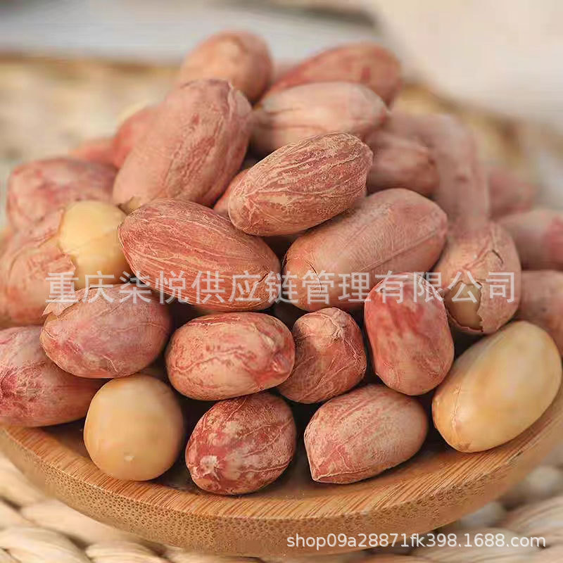 Marin 130g Southern Milk Peanut Garlic Grilled Spiced Peanut Kernel Nuts Casual Craving Snacks Snacks and Drinks