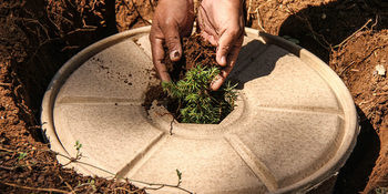 Chongqing Paper Paper Degradable Recycling Pulp Molding Waterproof Sand Planting Pots Large Flower Pots