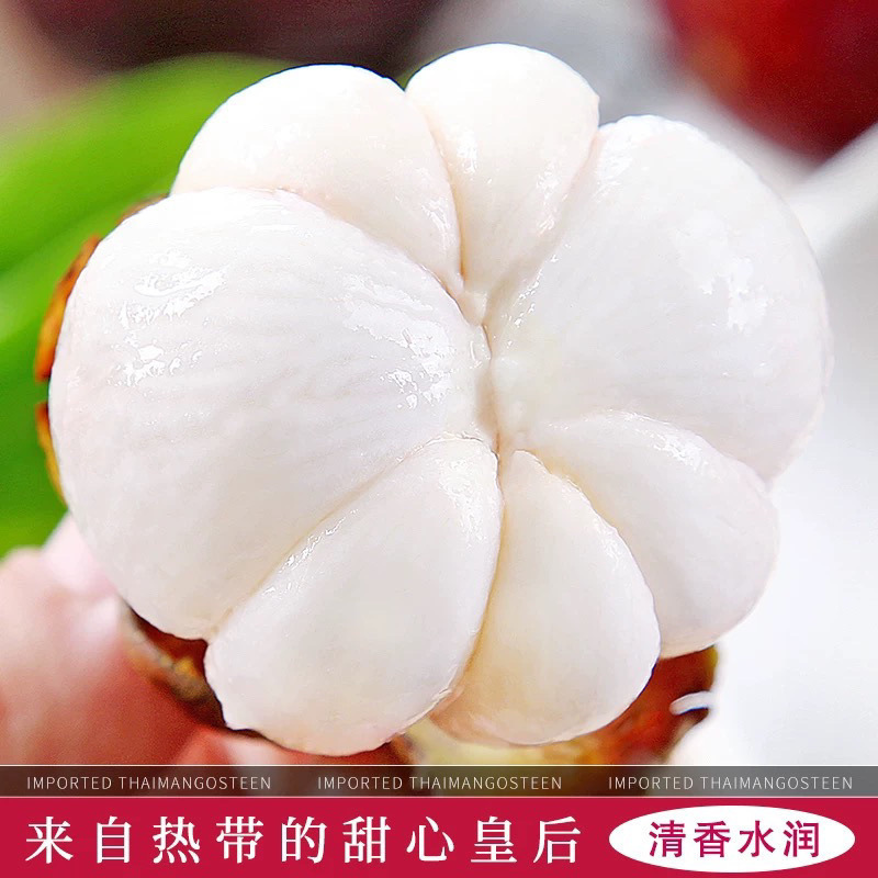 Thai Mangosteen Fresh Large Fruit Seasonal Fruit Oil Bamboo Factory One Piece Wholesale Dropshipping Cross-Border E-Commerce