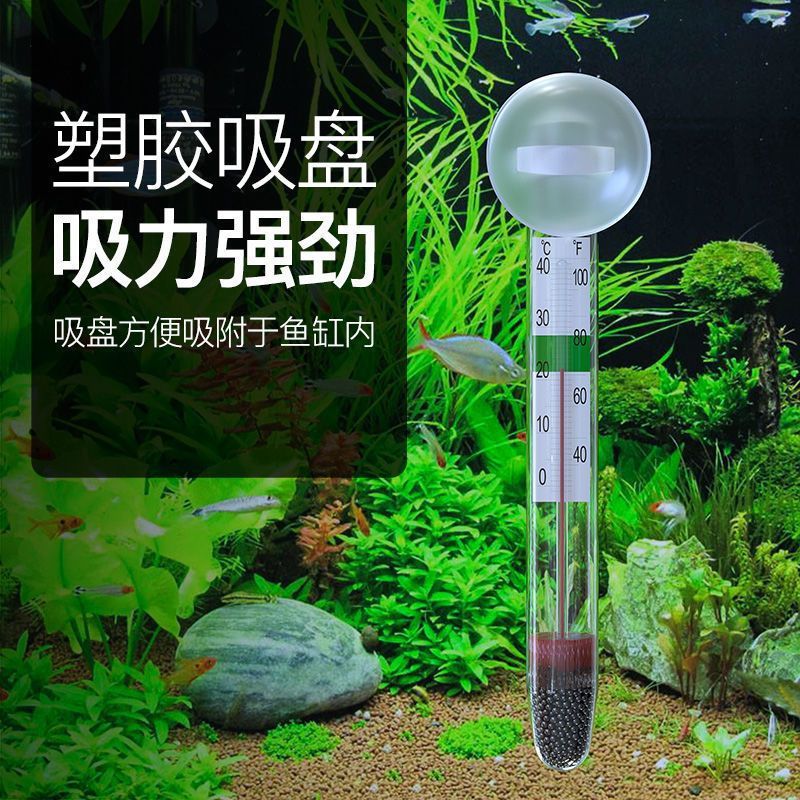 Xiaopang Thermometer Suction Cup Aquarium Water Thermometer High-Precision Waterproof Embedded Fish Tank Turtle Tank Grass Tank Special