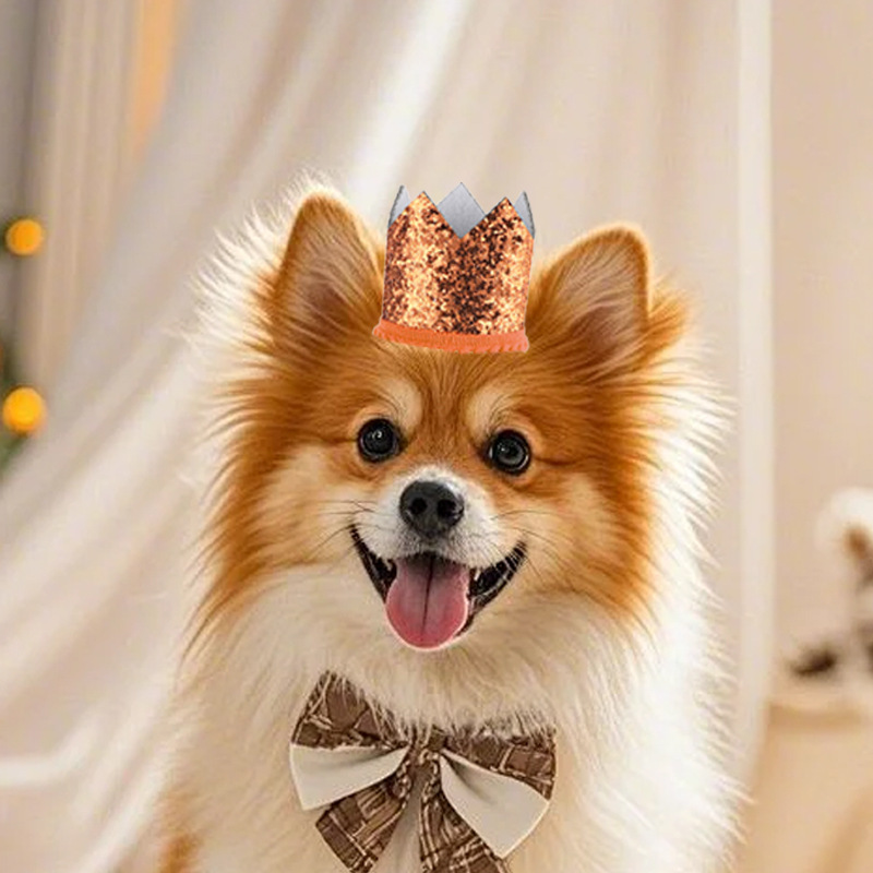 Cross-border shiny pet crown European and American birthday small hat dog crown party dress hat wholesale