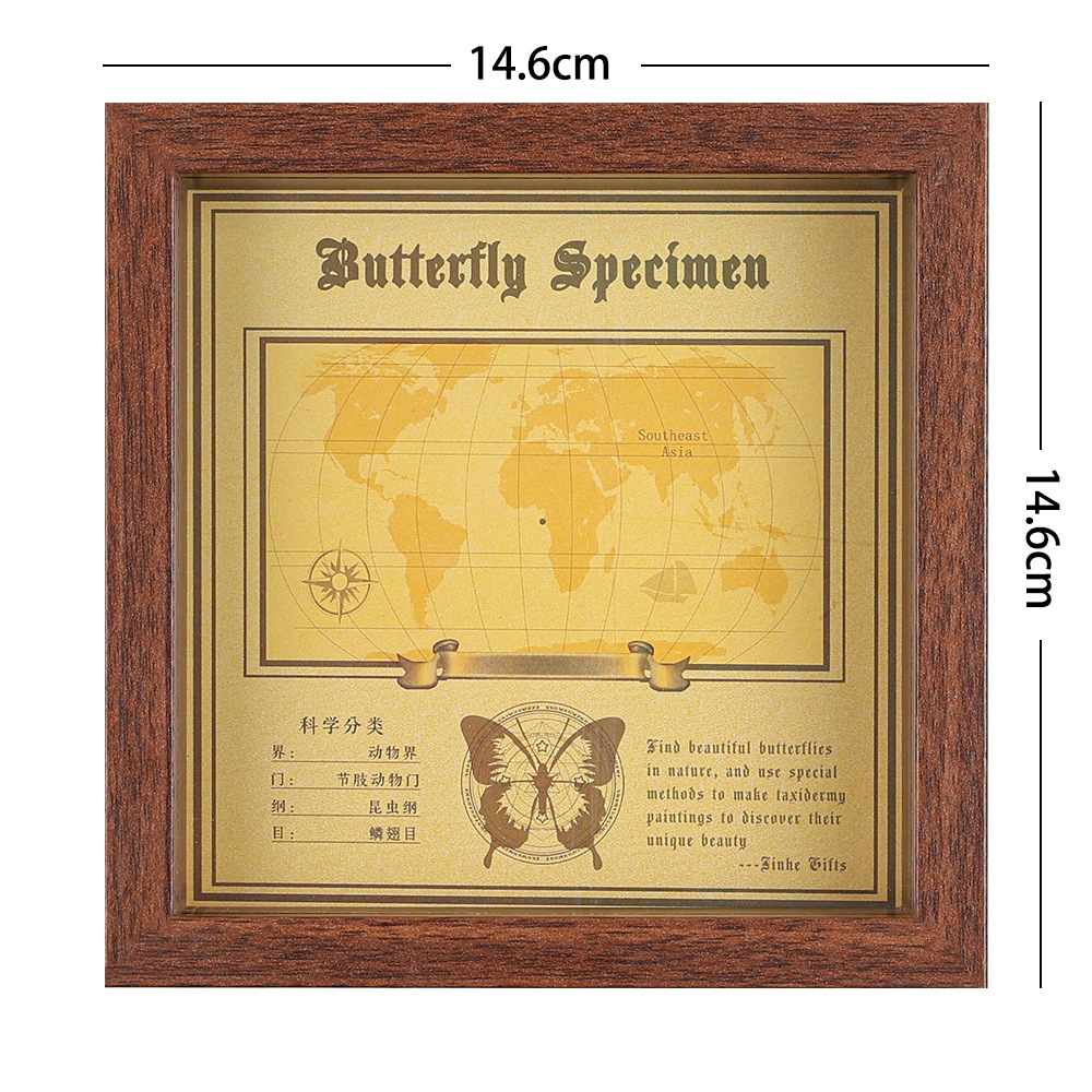 Real Butterfly Specimen Photo Frame Decorative Painting Stereo Ornaments Handmade DIY Birthday Gift Insect Specimen