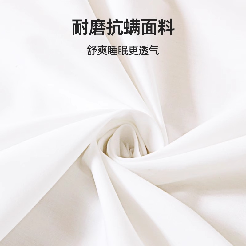 Dream Lily Factory Company Direct Camp 0 Pressure Memory Cotton Student Dormitory Mattress Slow Rebound Mattress Mattress