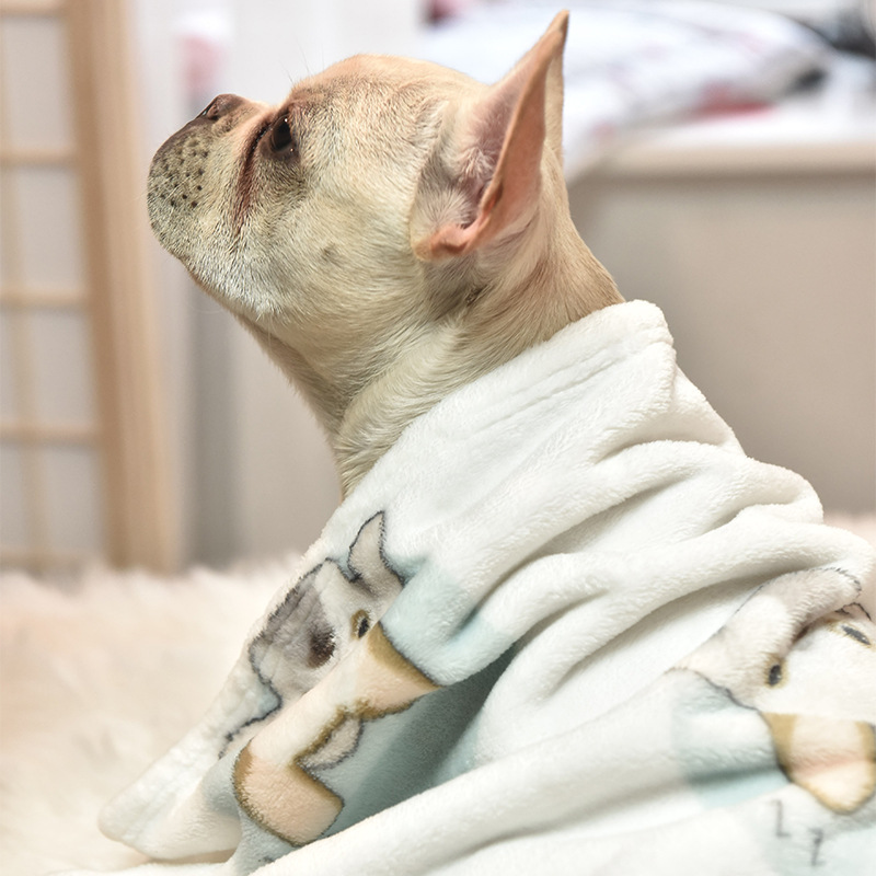 Manufacturer's Ready-Made Wholesale Pet Blanket Gift Matching Coral Velvet Flannel Air-Conditioning Blanket Warm Dog Mat Dropshipping