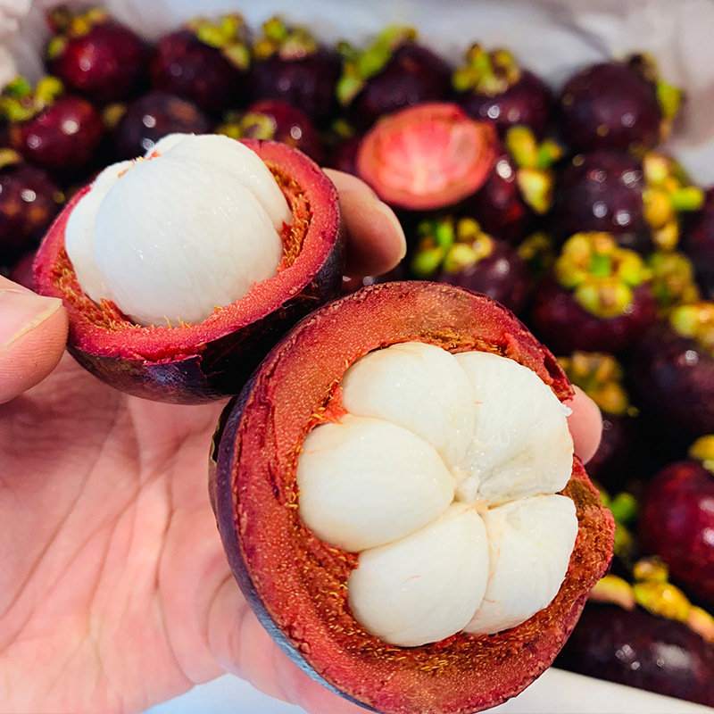 Sf Express Free Shipping Thailand Mangosteen 2kg Gift Box 6A Large Fruit Seasonal Fresh Fruit Mangosteen Bamboo Gift 6