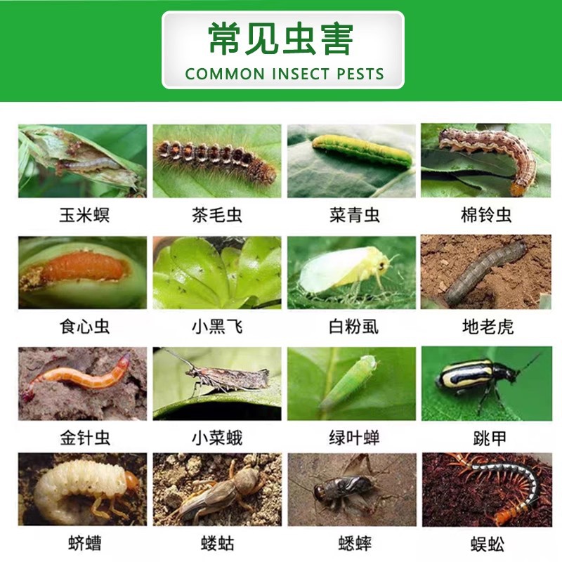 High-Chlorine Emamectin Salt Pesticide Insecticide for Vegetables and Fruit Trees, High-Efficiency Cypermethrin, High-Chlorine Potassium Salt Insecticide