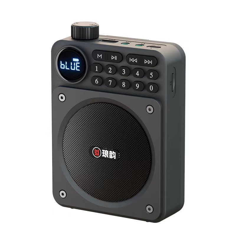 Langyun C65 Bluetooth Radio High Volume Elderly Plug-in Card Outdoor Multifunctional Portable Player Amplifier