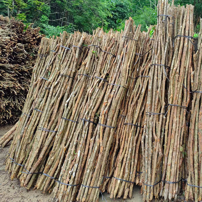 Ready-Made Dry Branches for Indoor and Outdoor Decoration Materials, Tree Trunks, Fence Materials, Wood Branches, Rattan, Over-The-River Dragon, Yellow Oxwood