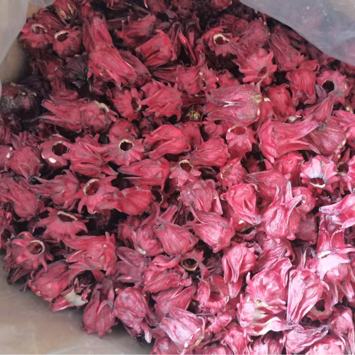 Freeze-Dried Roselle Flower Bulk Yunnan Roselle Whole Flower Tea Direct from Manufacturer Wholesale and Delivery Yunnan Specialty