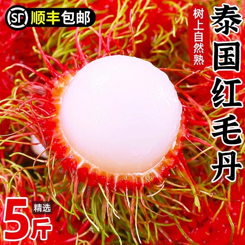 Fresh Rambutan Fruit 2.5kg Seasonal Whole Box of Rambutans Thai Tropical Fruit for Pregnant Women