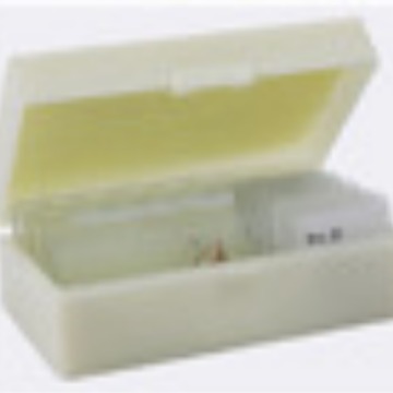 Teaching Microscope Slide Specimen Biological Slice 100 Slice Set Animal and Plant Slide Specimen Slice