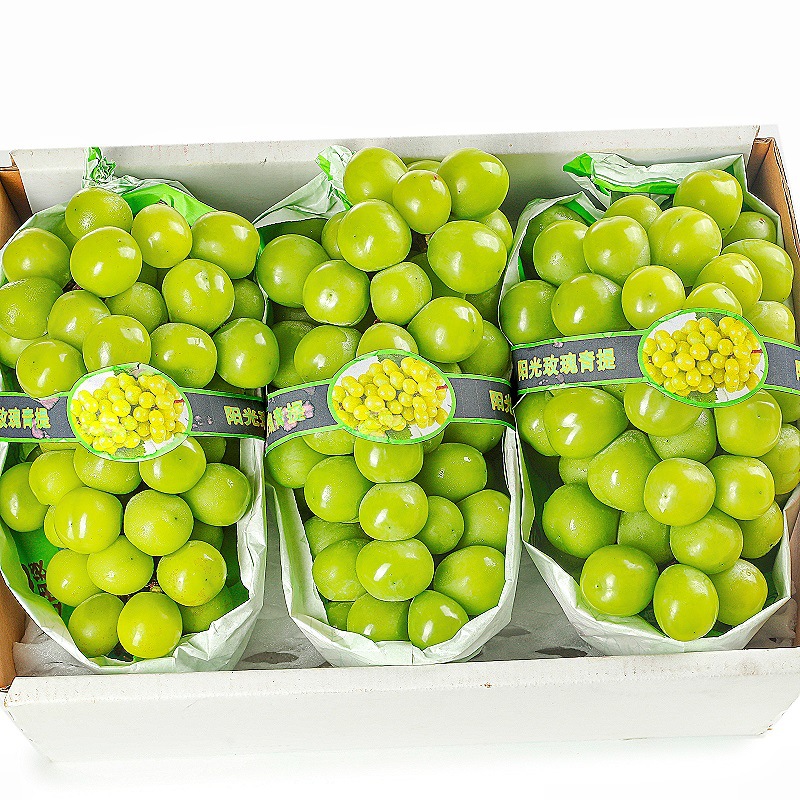 Sunshine Rose Grape Fresh Fruit 2.5kg Gift Box Qingwang Fragrant Green Raisins Seasonal Whole Box Wholesale Sf Free Shipping