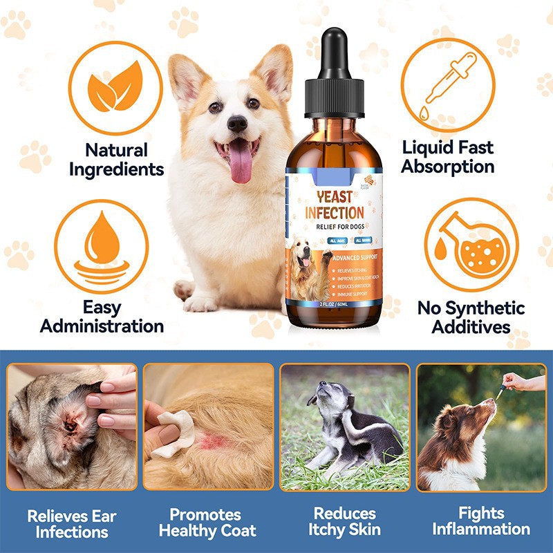 Pet Vitamin Drops Daily Liquid Supplement for Dogs Foreign Trade Supply O E m