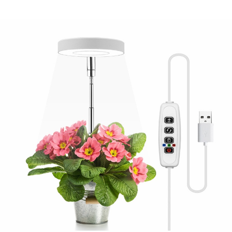 Factory Customized Led Indoor Plant Growth Light Dimmer Switch with 24-Hour Cycle Timing and Multi-Level Dimming Switch