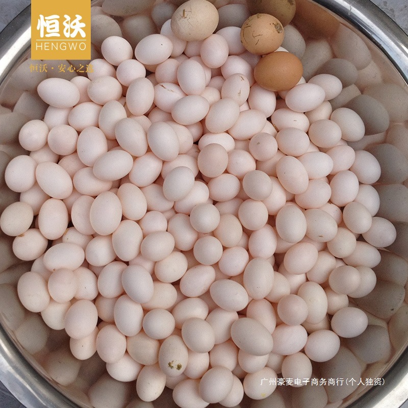 Zhejiang Fresh Pigeon Eggs Hengwo Genuine Multigrain Pigeon Eggs Farm-Raised White Pigeon Eggs 30 Pieces Individually Packed Non-Quail Eggs