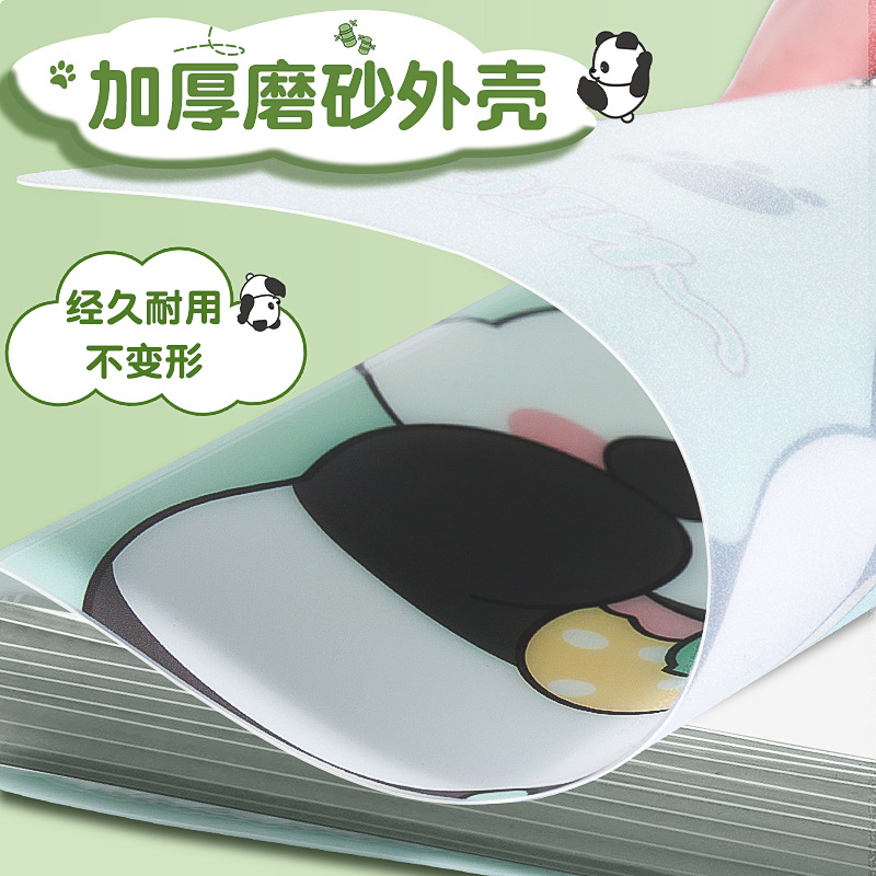 A4 Information Booklet Transparent Insert Folder File Folder Student Test Paper Storage Book Cartoon Information Collection Book Wholesale