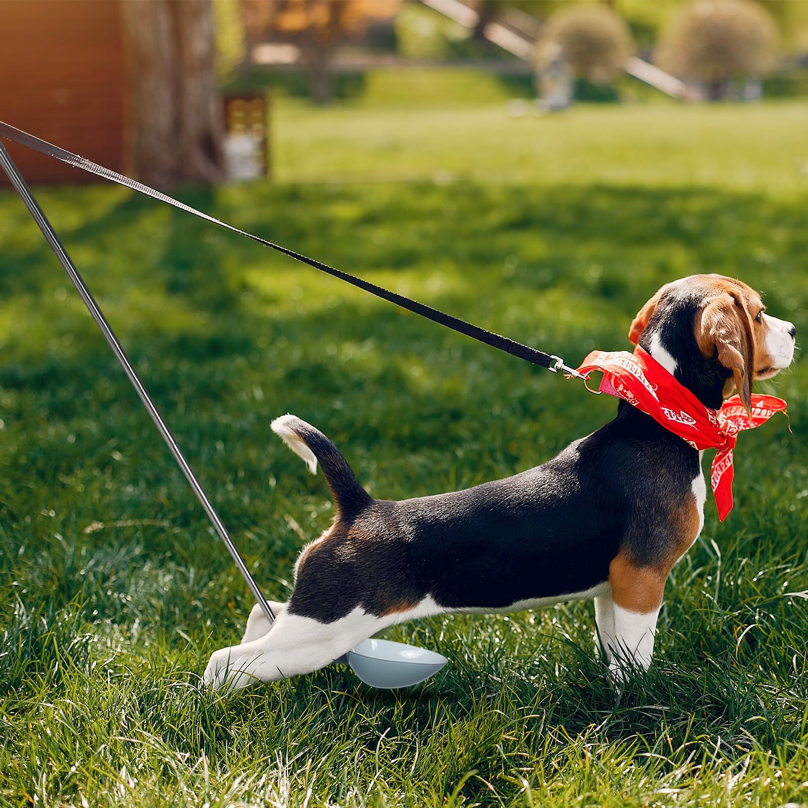 Dog Cat Urine Collector Dog Urine Collection Bag for Pet Pregnancy Urine Test Veterinary Supplies