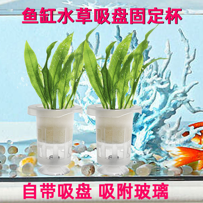 Fish Tank Landscaping Accessories with Suction Cup Hydroponic Planting Basket Water Hydroponic Plant Pot Holder Green Radish Planting Cup