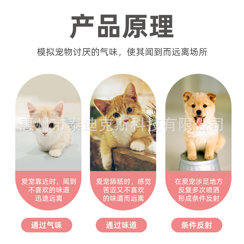 Cat Repellent Spray, Household Anti-Cat, Bed, Urine and Grabbing, Orange Smell Restricted Area Spray, Wild Cat Repellent Artifact