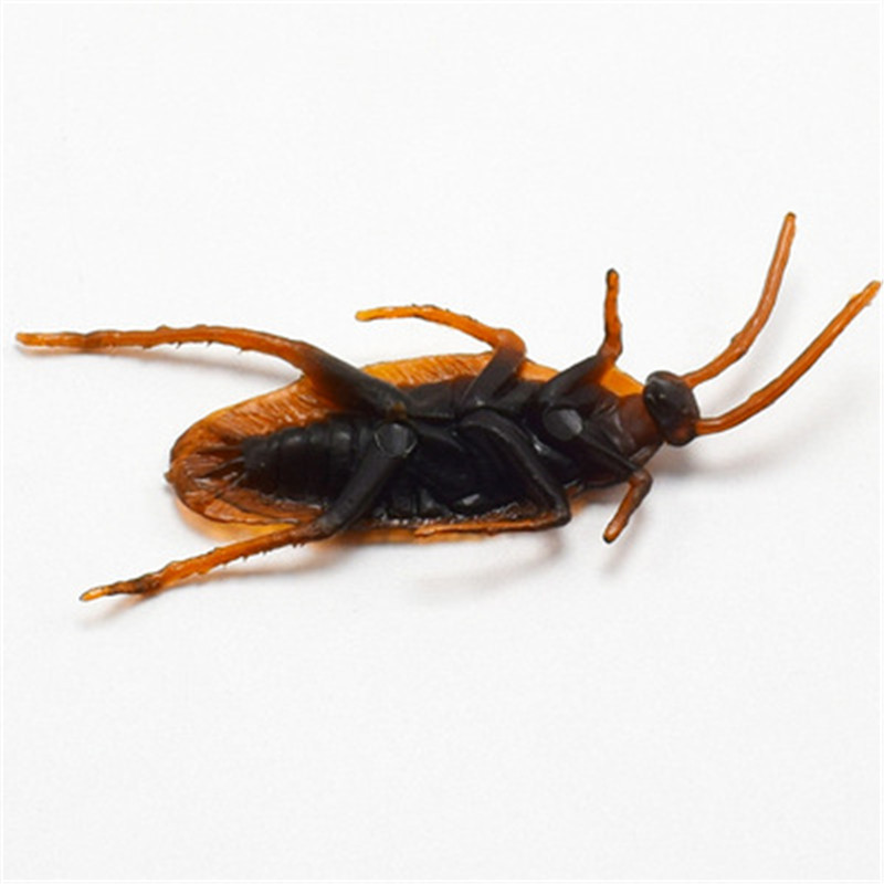 Artificial cockroach April Fool's Day toy scared fake cockroach realistic cockroach whole person Xiaoqiang trick fake Xiaoqiang wholesale